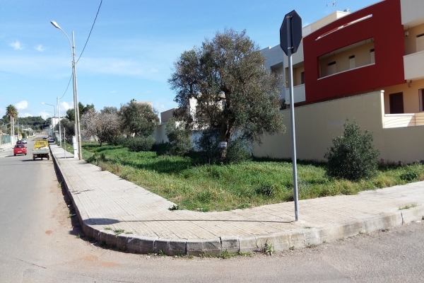 20160209_121737.jpg