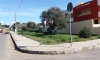 20160209_121737.jpg