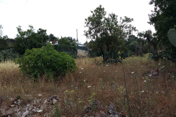 20160609_082829.jpg