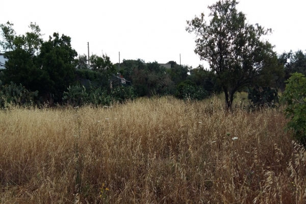 20160609_082845.jpg