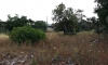20160609_082829.jpg