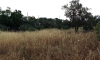 20160609_082845.jpg