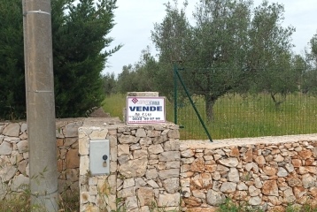 Terreno7DO