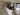 20220812_091219.jpg