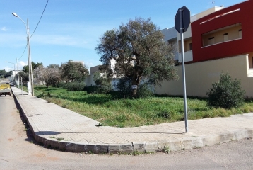 Suolo edificatorio 403DGPC